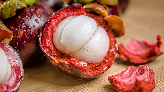 Alpha-Mangostin