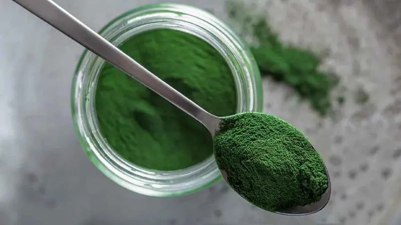 Chlorella Powder