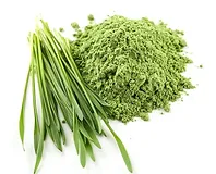 Organic Ingredients