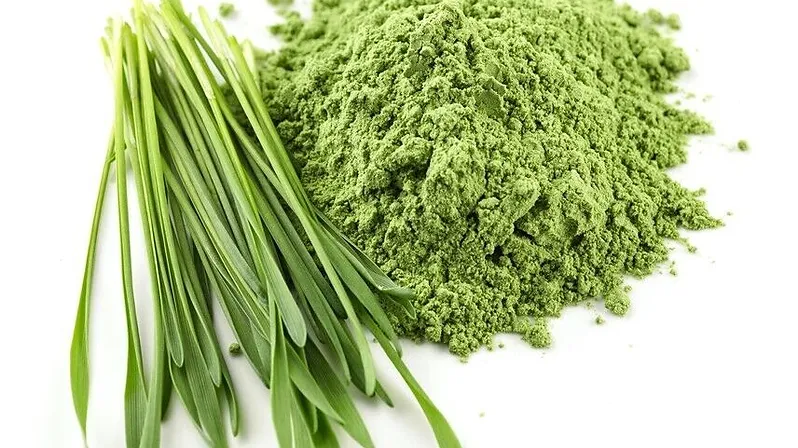 Barley Grass Powder
