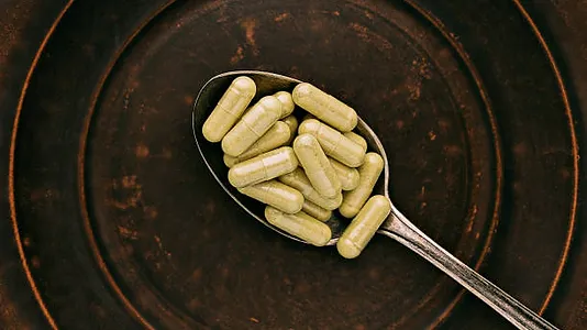 Quercetin P.E. 95%