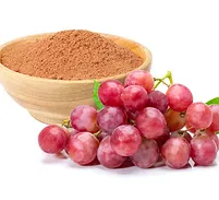 Resveratrol 50% / 98%