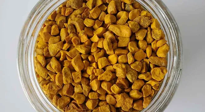 Turmeric Root P.E. 95% Granular